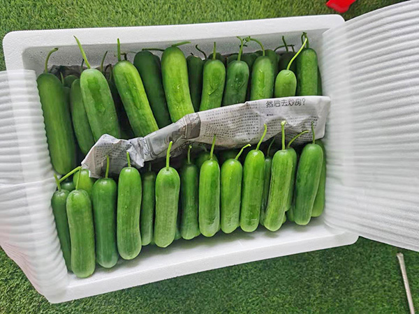糧油配送公司教你花生油儲存方法？
